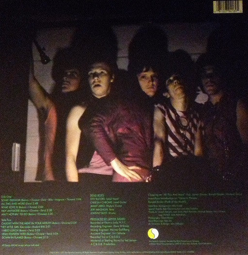 Dead Boys - Young Loud & Snotty Limited Edition Green Translucent Coloured Vinyl LP (Used)