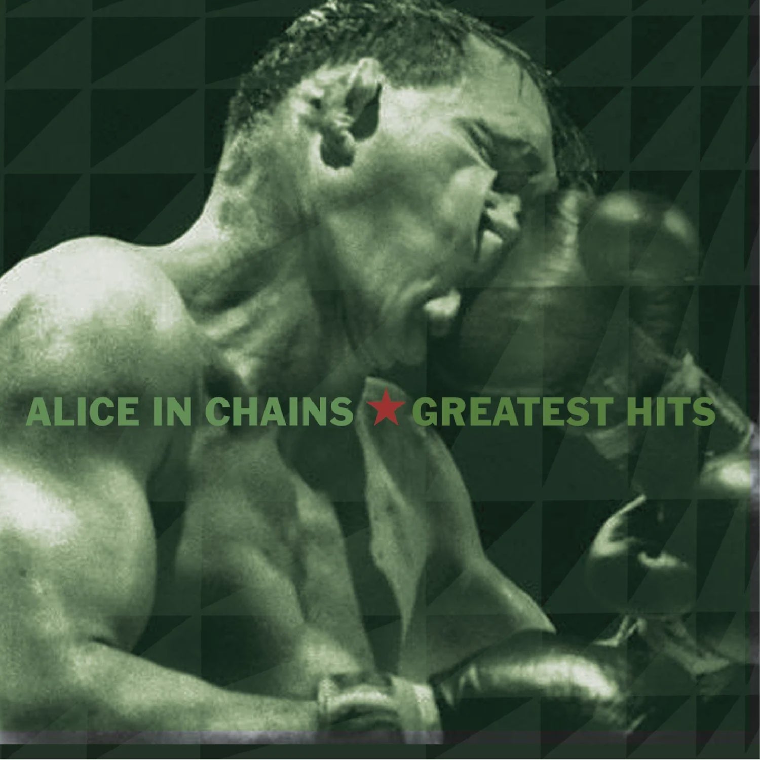 Alice In Chains - Greatest Hits CD (New)