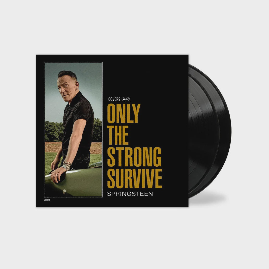 Bruce Springsteen - Only The Strong Survive Vinyl 2LP