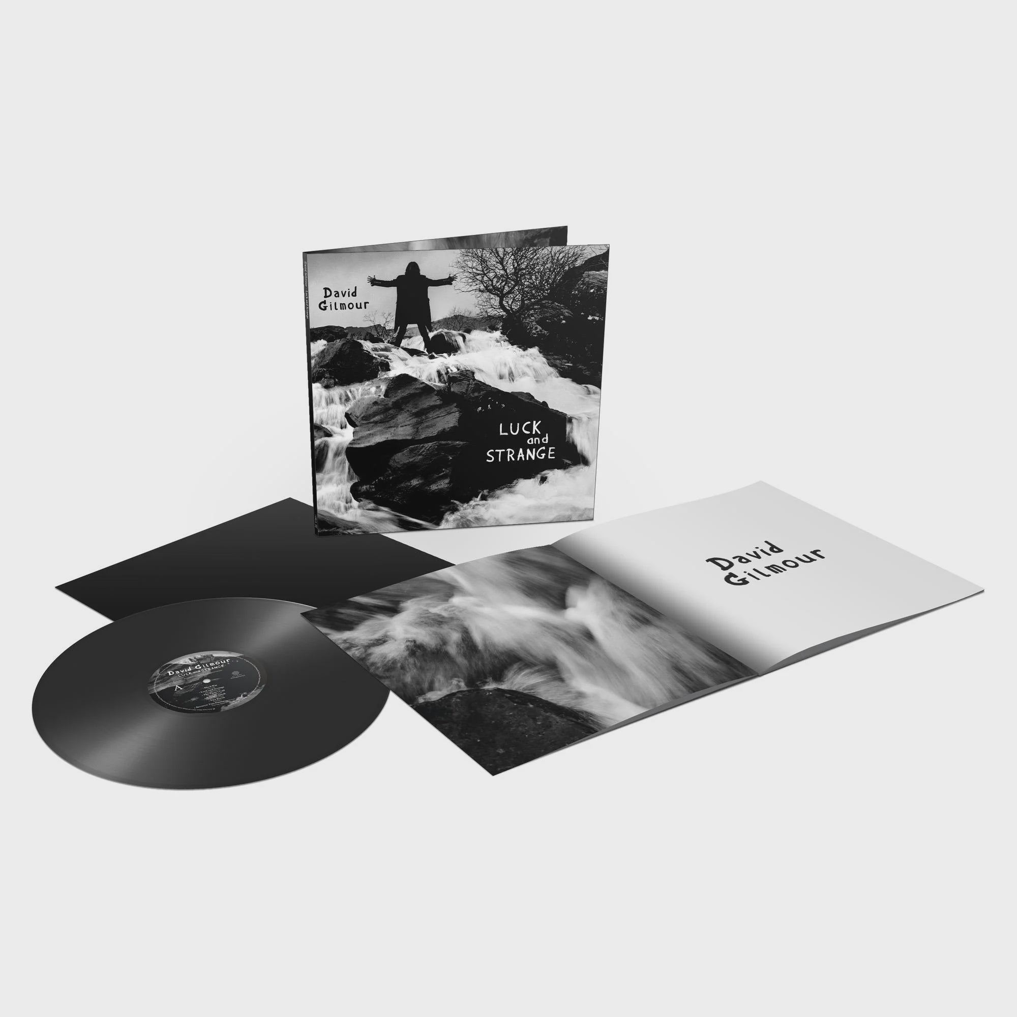 David Gilmour - Luck & Strange Vinyl LP