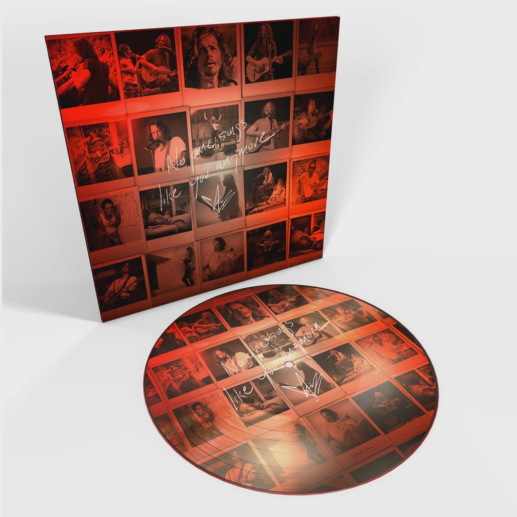 Chris Cornell - No One Sings Like You Anymore Picture Disc Vinyl LP
