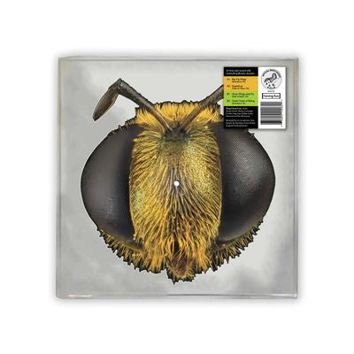King Gizzard & The Lizard Wizard - Big Fig Wasp RSD 2026 Bee Shaped 12" EP Vinyl