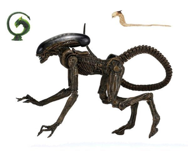 Alien - Dog Alien Ultimate 7 Inch Figure