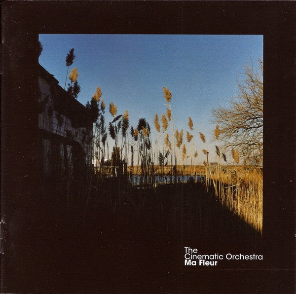 Cinematic Orchestra - Ma Fleur CD