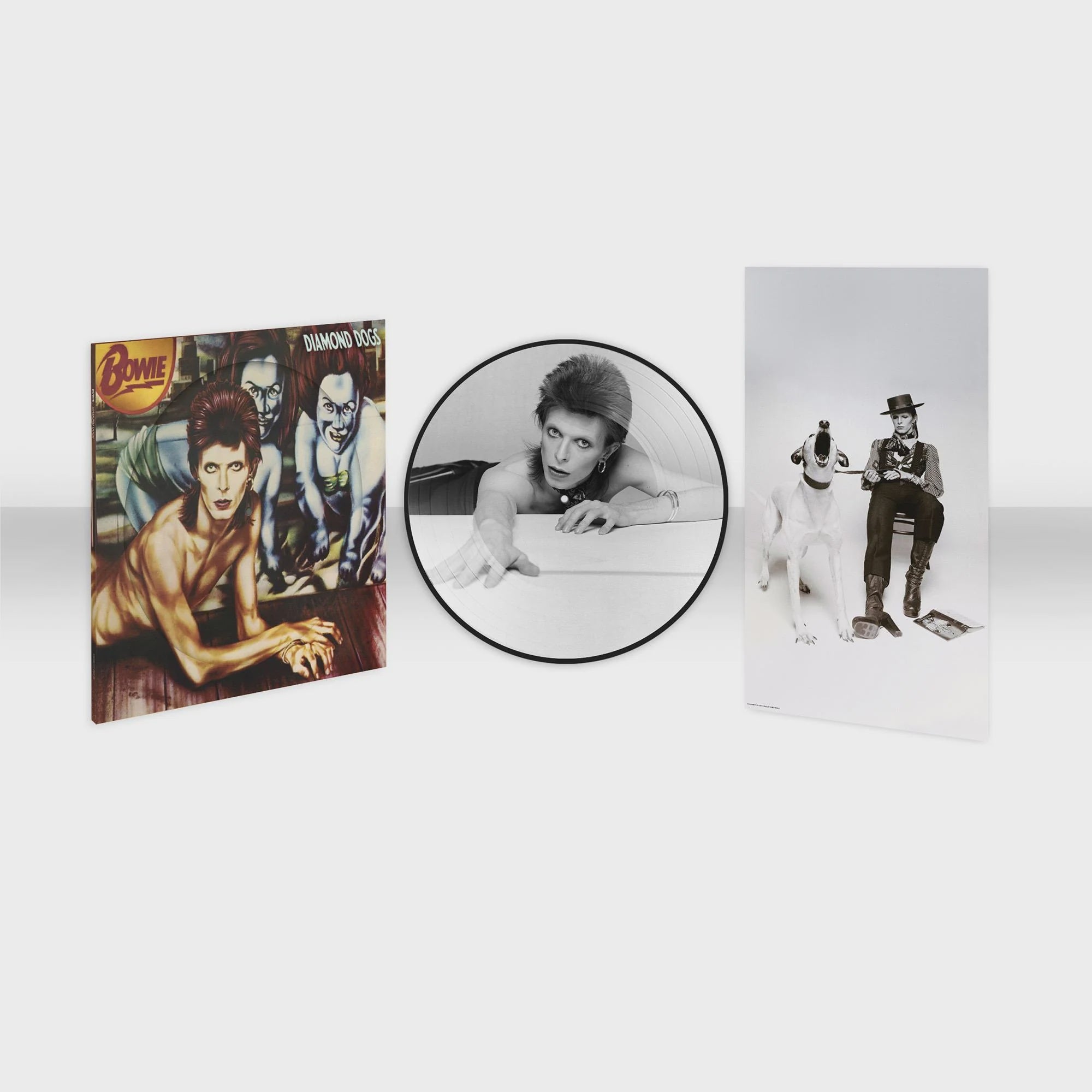 David Bowie - Diamonds Dogs 2024 Picture Disc Vinyl LP