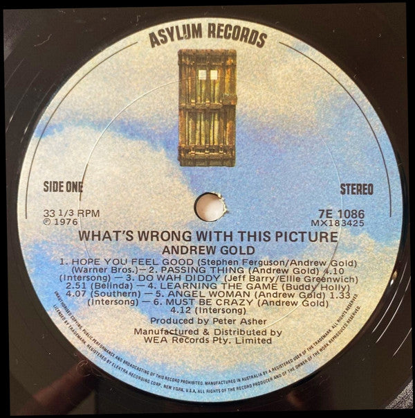 Andrew Gold - What's Wrong With This Picture? Vinyl LP (Used)