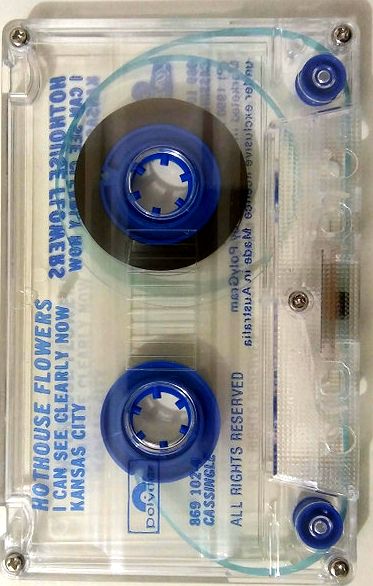 Hothouse Flowers - I Can See Clearly Now Cassette Single