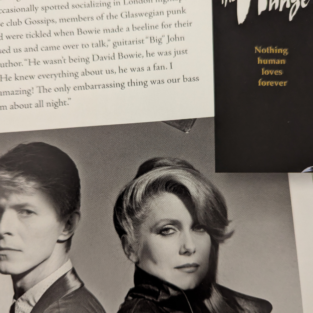 David Bowie - The Illustrated Story By Pat Gilbert Book