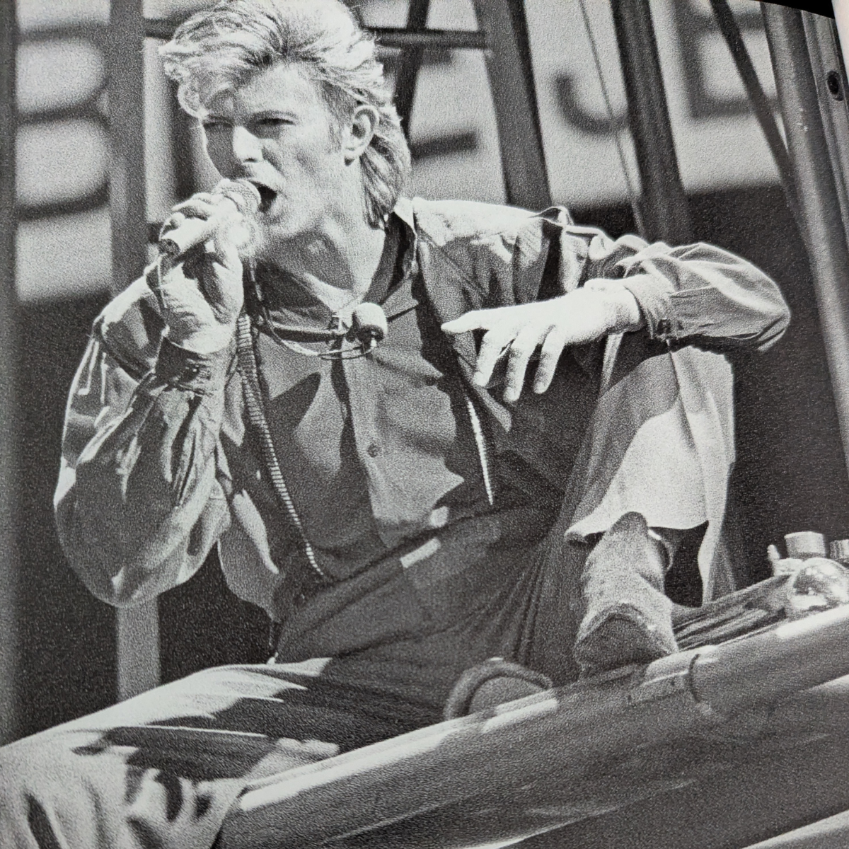 David Bowie - The Illustrated Story By Pat Gilbert Book