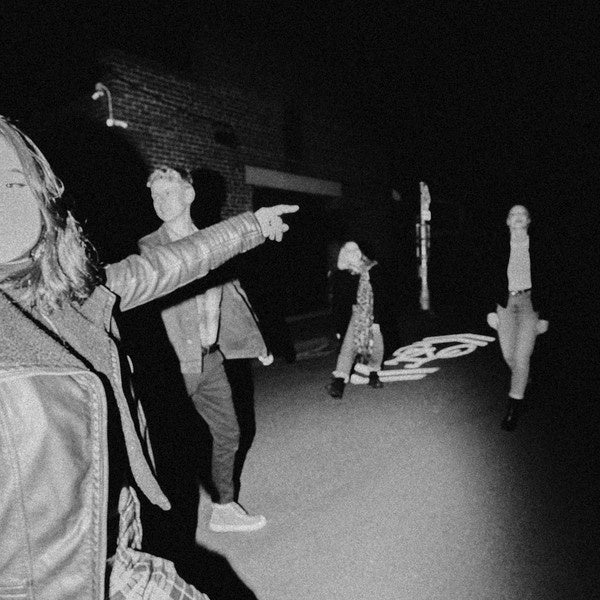 Moaning Lisa - Something Like This But Not This Vinyl LP (Used)