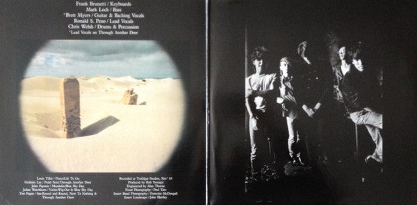 Died Pretty - Free Dirt Vinyl LP (Used)