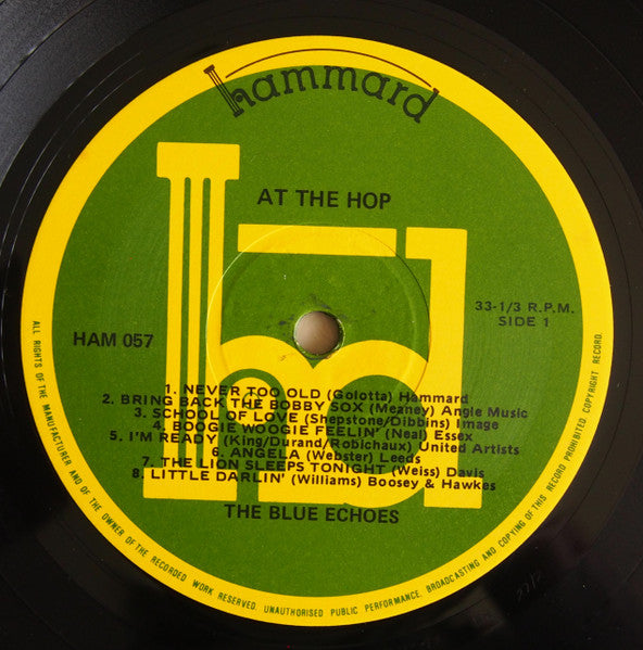 Blue Echoes - At The Hop Vinyl LP (Used)