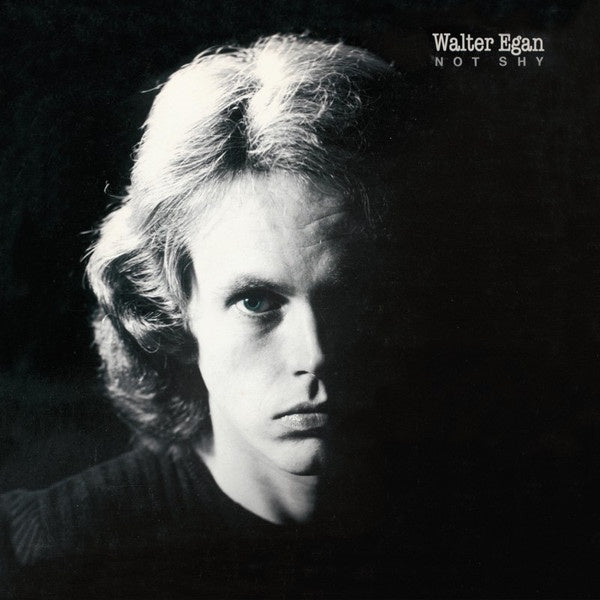 Walter Egan - Not Shy Vinyl LP (Used)