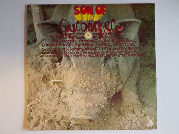 Various Artists - Son Of Gutbucket Vinyl LP (Used)