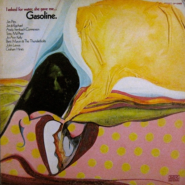 Various Artists - I Asked For Water She Gave Me... Gasoline Vinyl LP (Used)