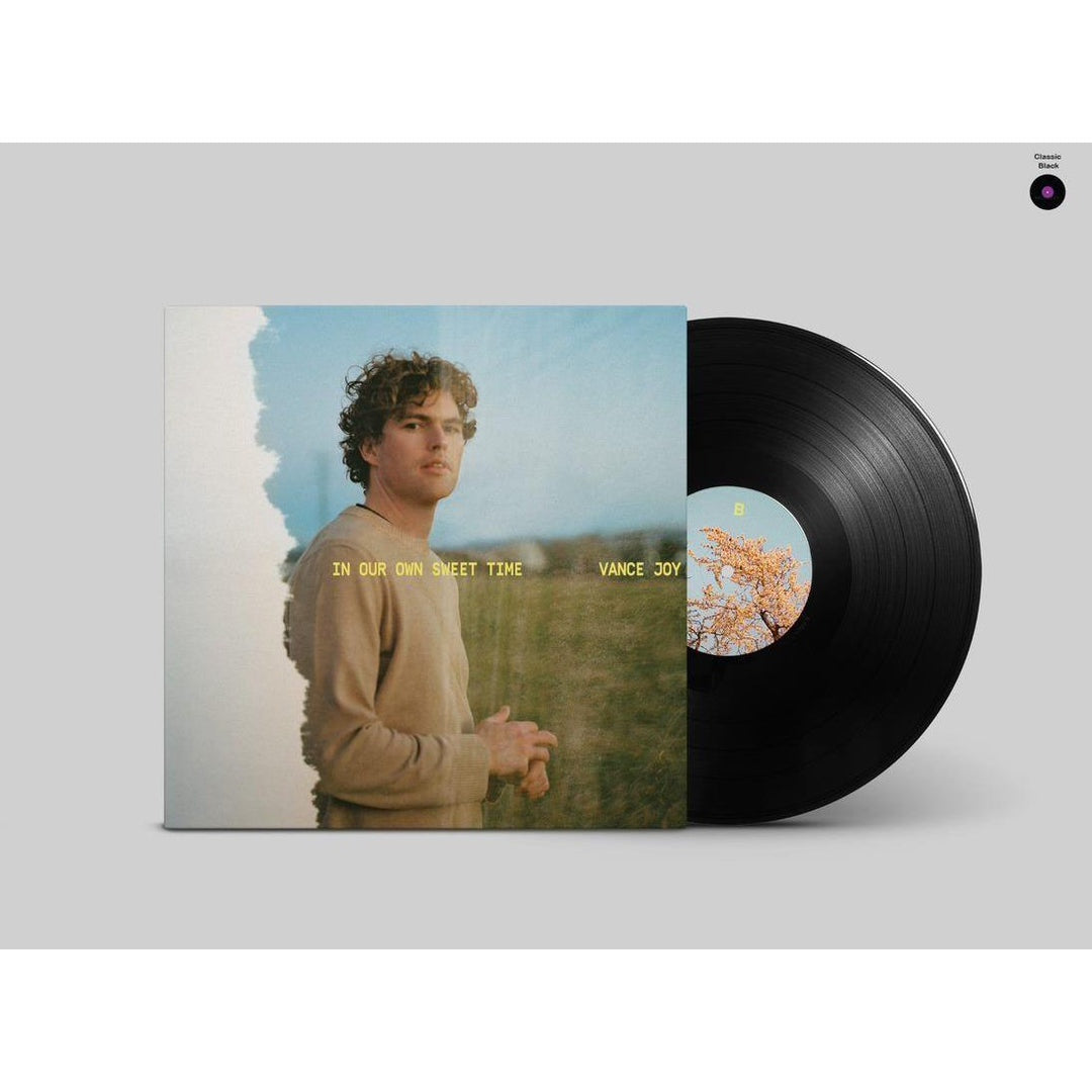 Vance Joy - In Our Own Sweet Time Vinyl LP