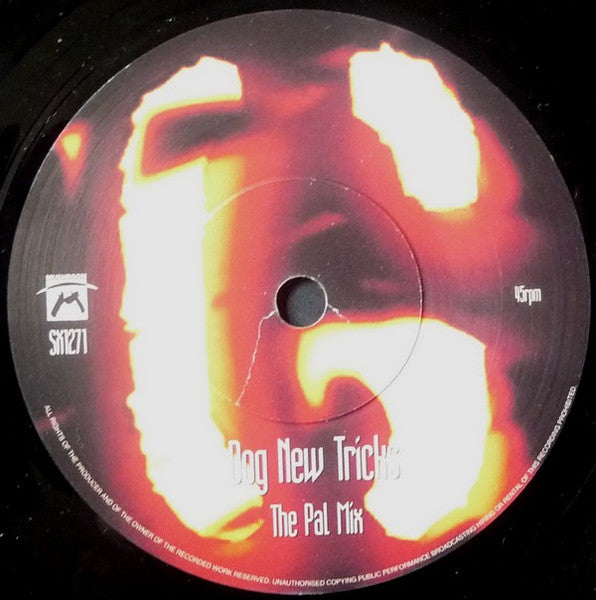 Garbage - Stupid Girl 7" Vinyl Single (Used)