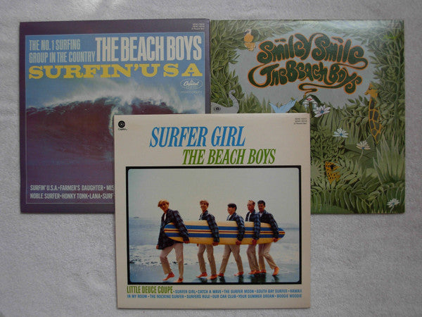 Beach Boys - The Beach Boys Box Set Vinyl 6LP (Used)