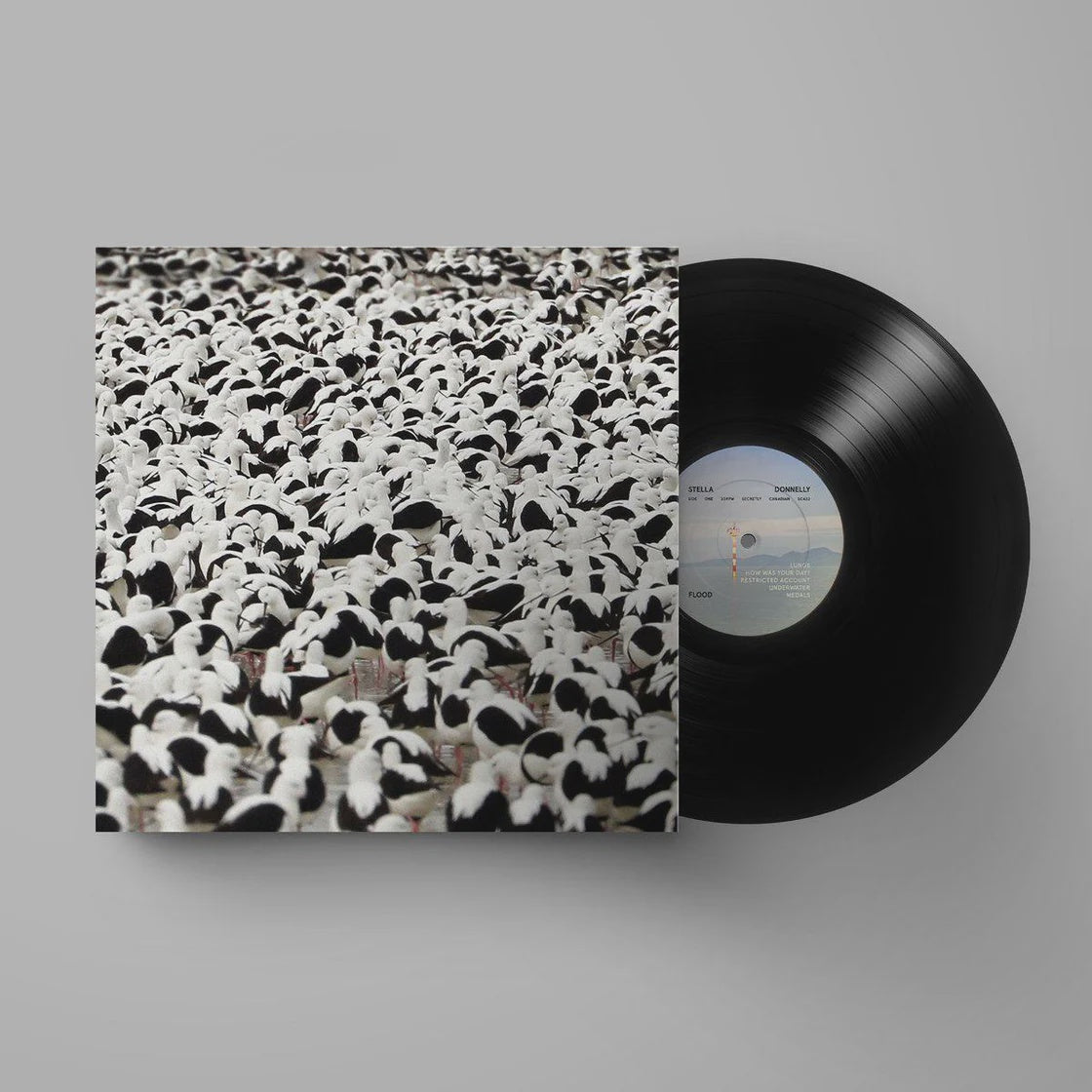 Stella Donnelly - Flood Vinyl LP