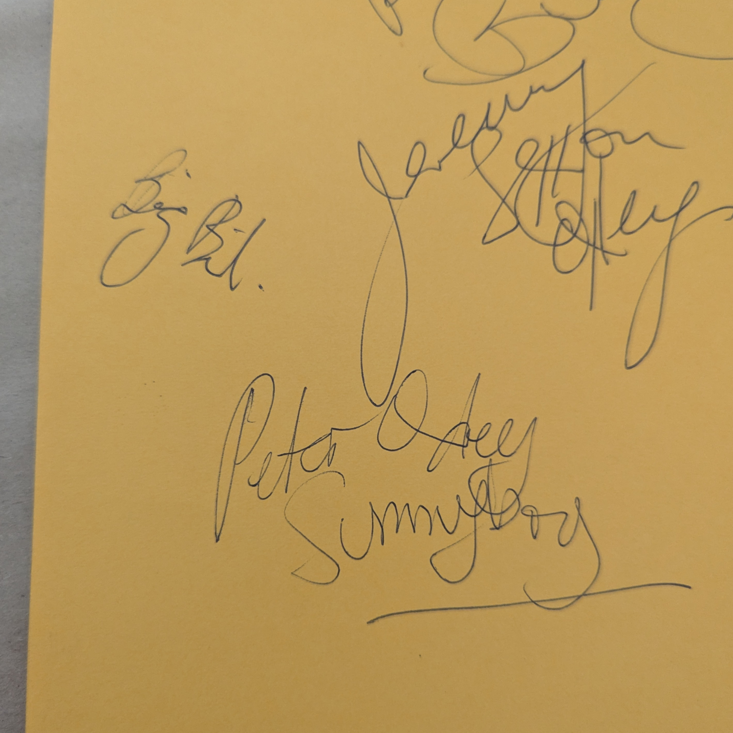 Sunnyboys - Set Of Autographs On Orange Paper