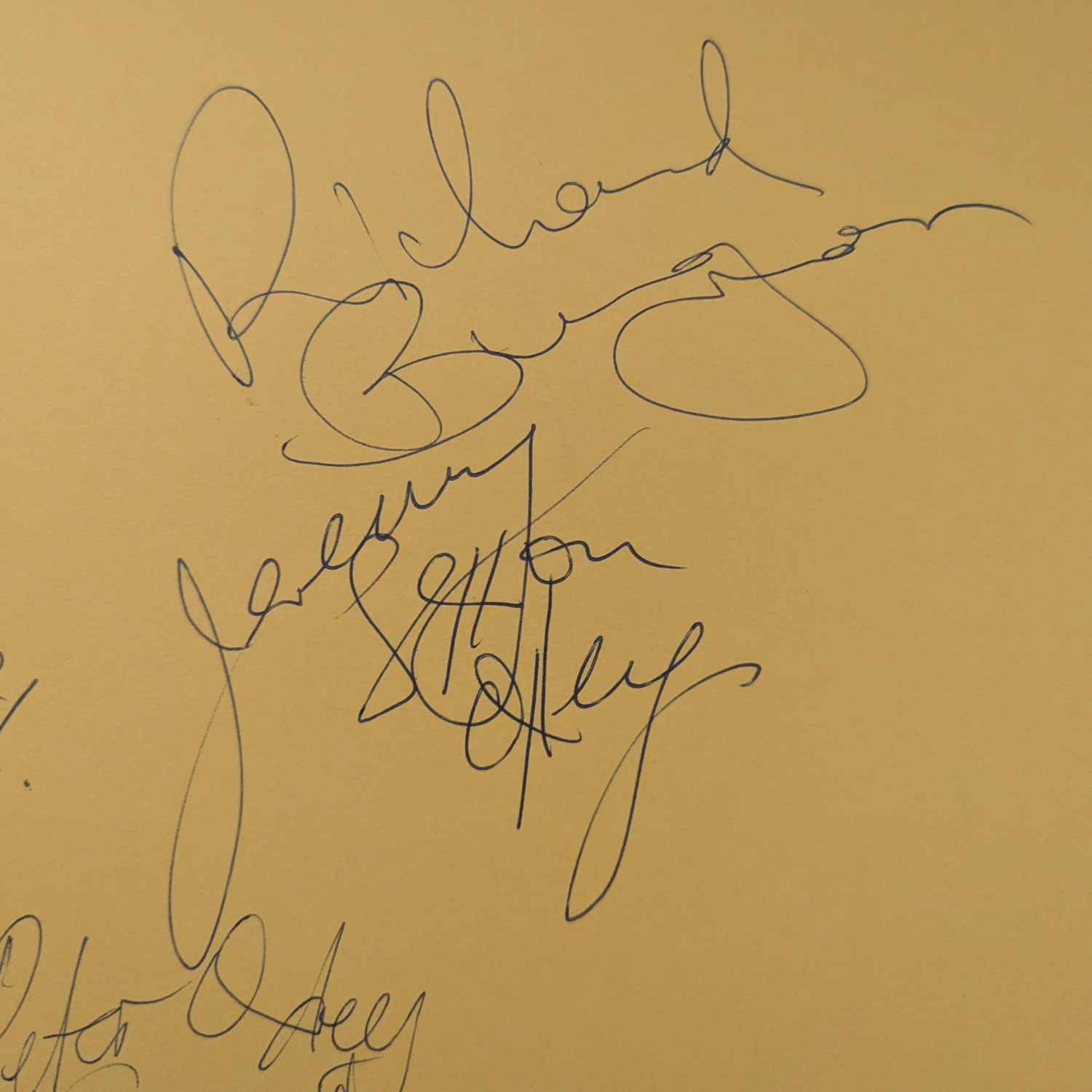 Sunnyboys - Set Of Autographs On Orange Paper