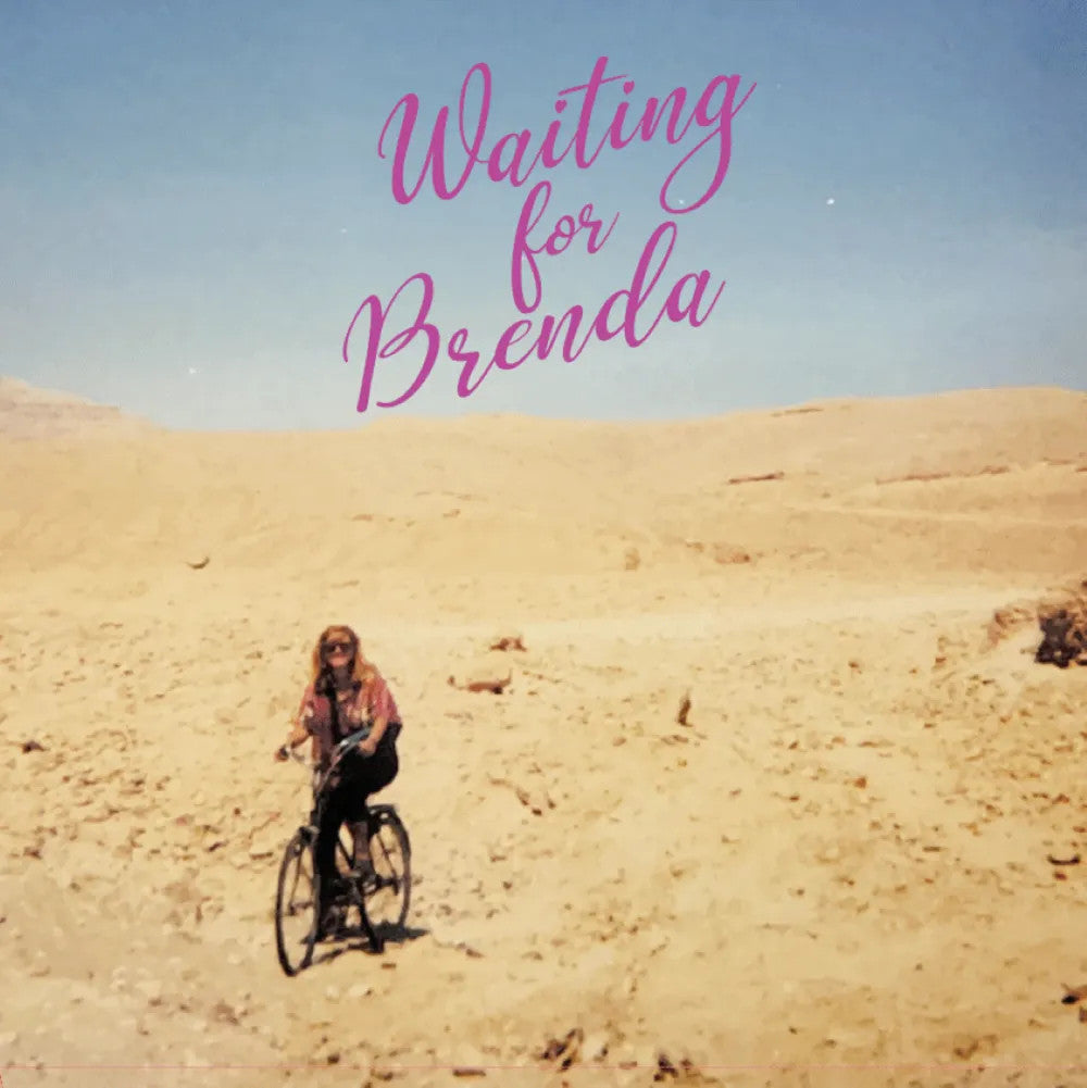 Waiting For Brenda - Friendly Disposition Vinyl LP