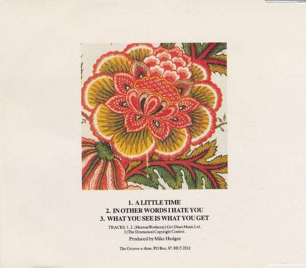 Beautiful South - A Little Time 3 Track CD Single
