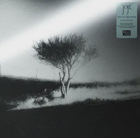 Joji - Piss In The Wind (Deluxe Edition) RSDBF2026 Black Pearl Coloured Vinyl 2LP