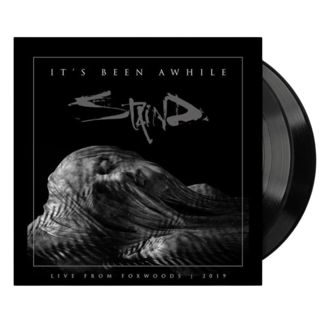 Staind - Its Been A While Vinyl LP