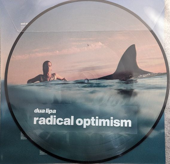 Dua Lipa - Radical Optimism Limited Edition Picture Disc Vinyl LP (Used)