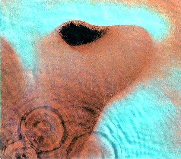 Pink Floyd - Meddle CD (Digital Remaster 2011, Gatefold Ed)