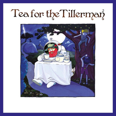 Cat Stevens / Yusuf - Tea For The Tillerman '2' Vinyl LP