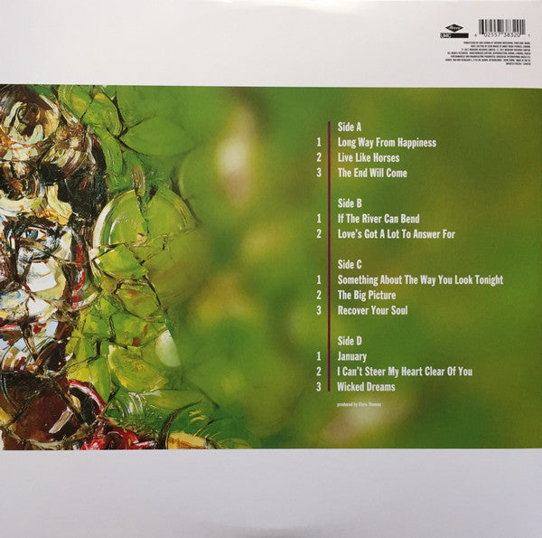 Elton John - The Big Picture Remastered Reissue Vinyl 2LP (Used)