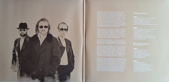 Bee Gees - The Many Faces Of Compilation Gold Coloured Vinyl 2LP (Used)