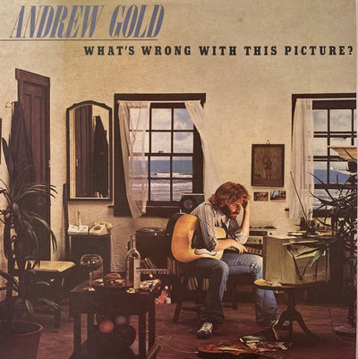 Andrew Gold - What's Wrong With This Picture? Vinyl LP (Used)