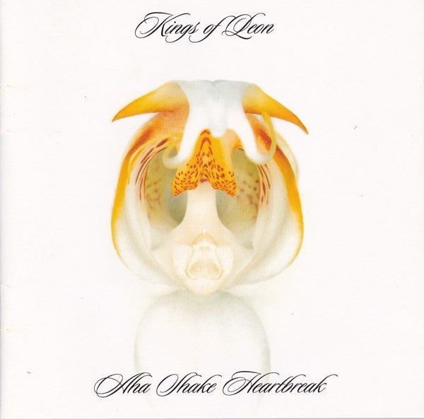 Kings Of Leon - Aha Shake Heartbreak 2CD