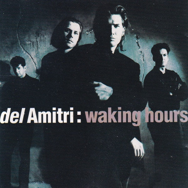 Del Amitri - Waking Hours CD
