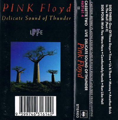 Pink Floyd - Delicate Sound Of Thunder 2 Cassette