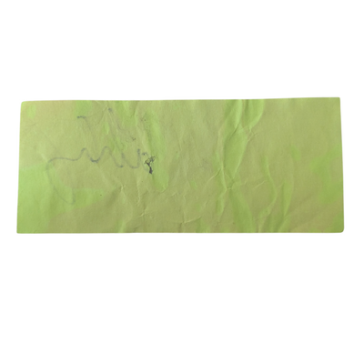 Alice Cooper - Neon Green Promotional $100 Bill Autographed