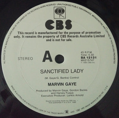 Marvin Gaye - Sanctified Lady 12" Vinyl Single (Used)