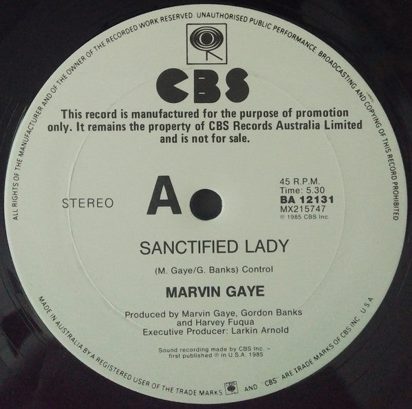 Marvin Gaye - Sanctified Lady 12" Vinyl Single (Used)