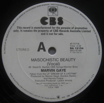 Marvin Gaye - Masochistic Beauty 12" Vinyl Single (Used)