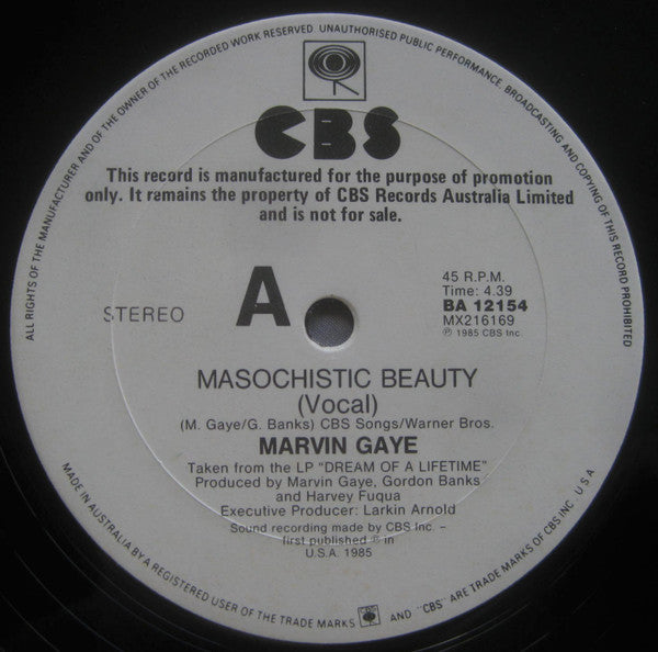 Marvin Gaye - Masochistic Beauty 12" Vinyl Single (Used)