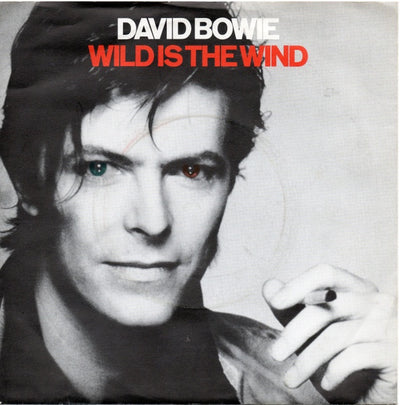 David Bowie - Wild Is The Wind / Golden Years 7" Vinyl Single (Used)