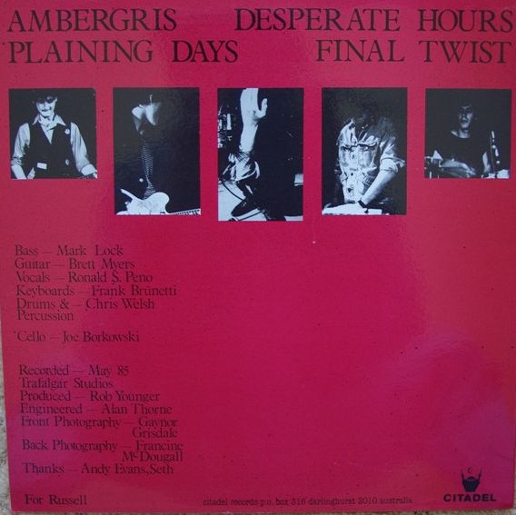 Died Pretty - Next To Nothing EP Vinyl  (Used)