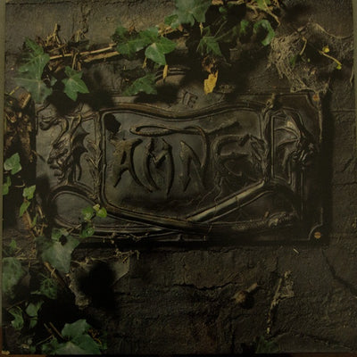 Damned - The Black Album Vinyl 2LP (Used)