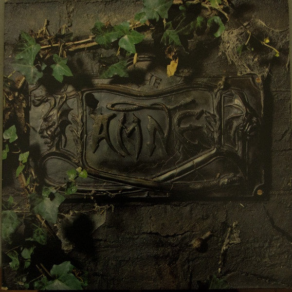 Damned - The Black Album Vinyl 2LP (Used)