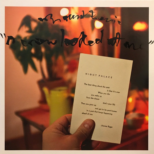 Mount Eerie - A Crow Looked At Me Vinyl LP (Used)