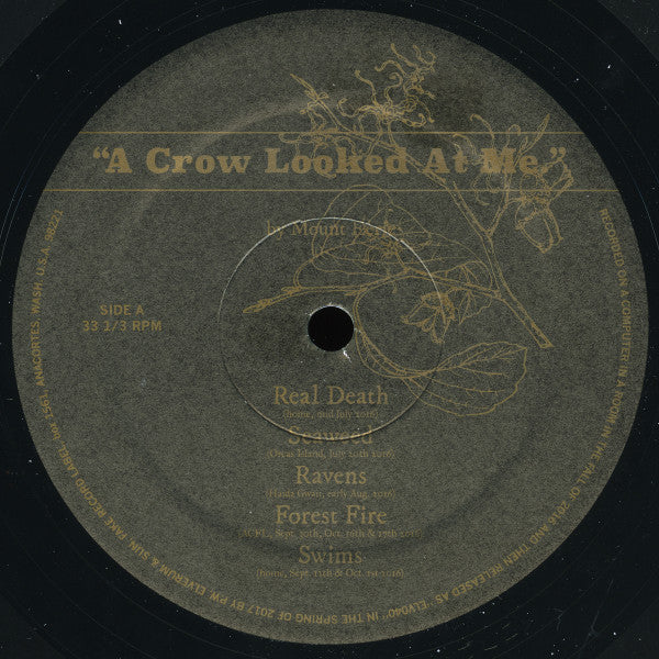 Mount Eerie - A Crow Looked At Me Vinyl LP (Used)