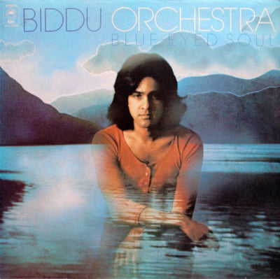 Biddu Orchestra - Blue-Eyed Soul Vinyl LP (Used)